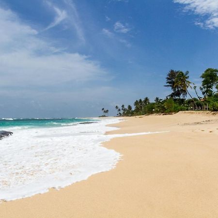 Surf Sea Breeze Otel Mirissa Dış mekan fotoğraf