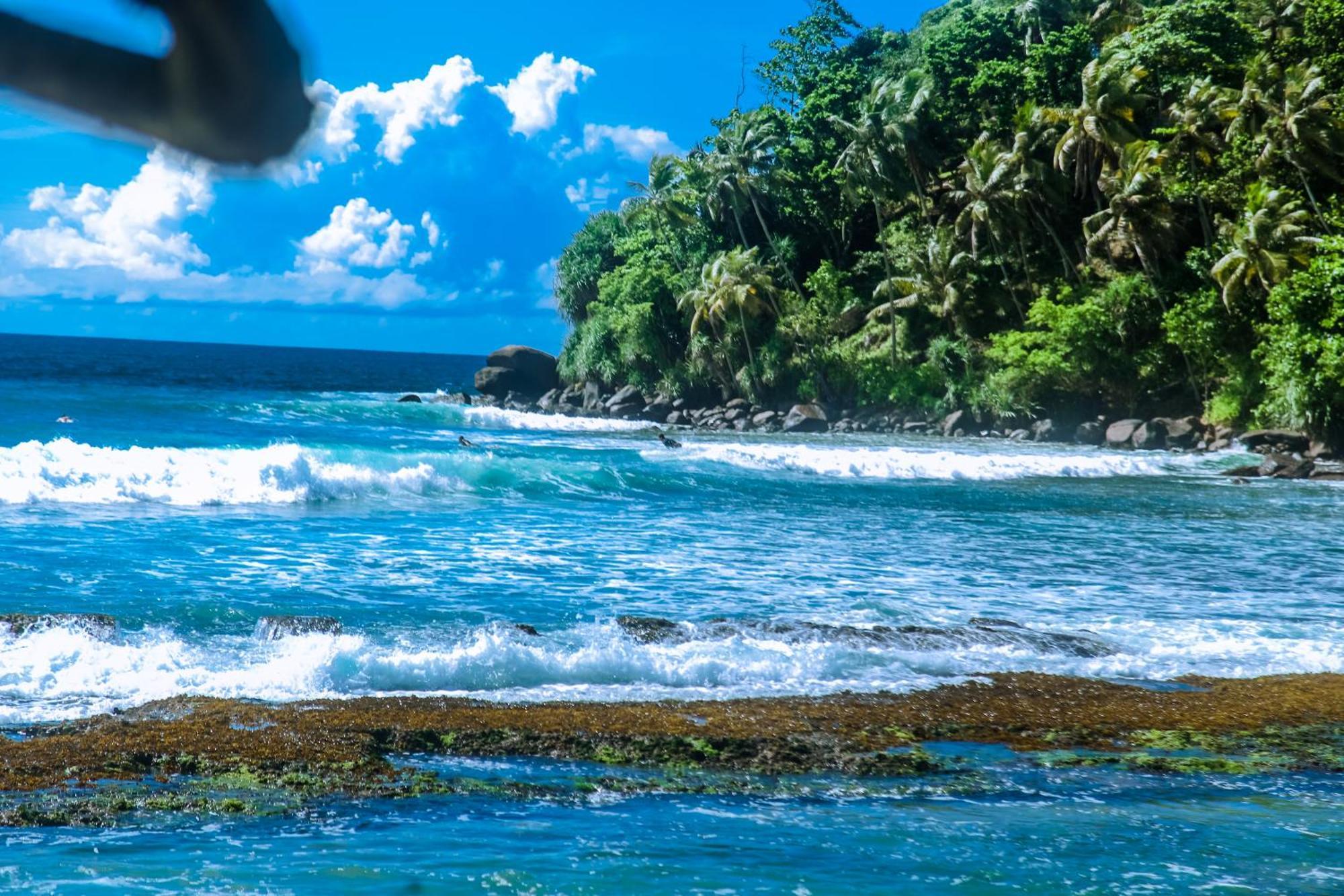 Surf Sea Breeze Otel Mirissa Dış mekan fotoğraf