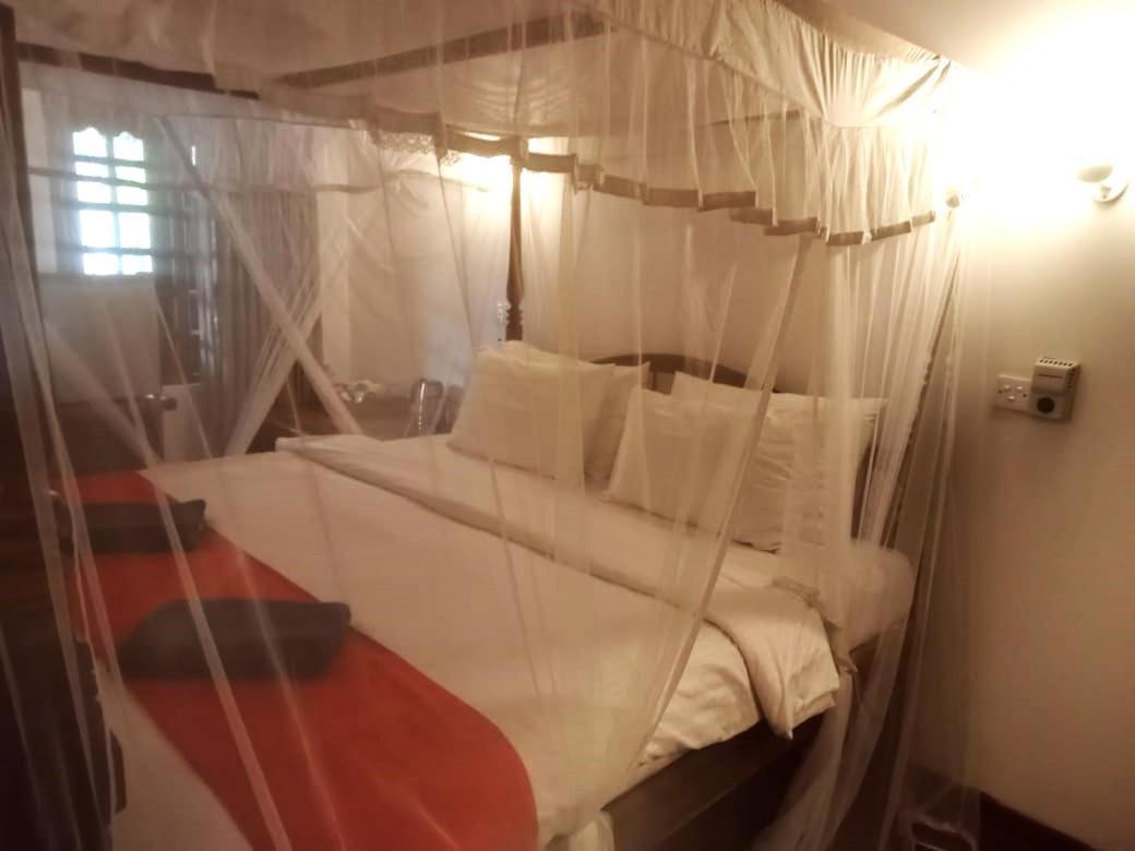 Surf Sea Breeze Otel Mirissa Dış mekan fotoğraf