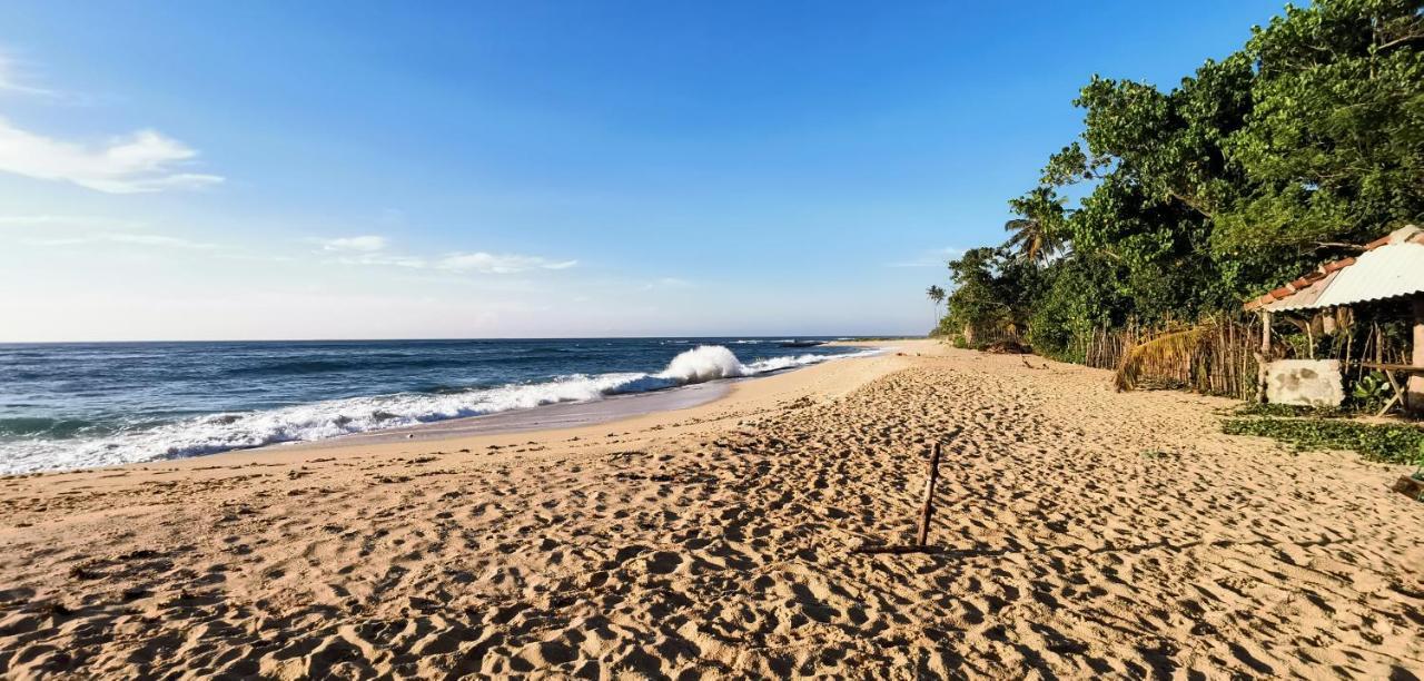 Surf Sea Breeze Otel Mirissa Dış mekan fotoğraf