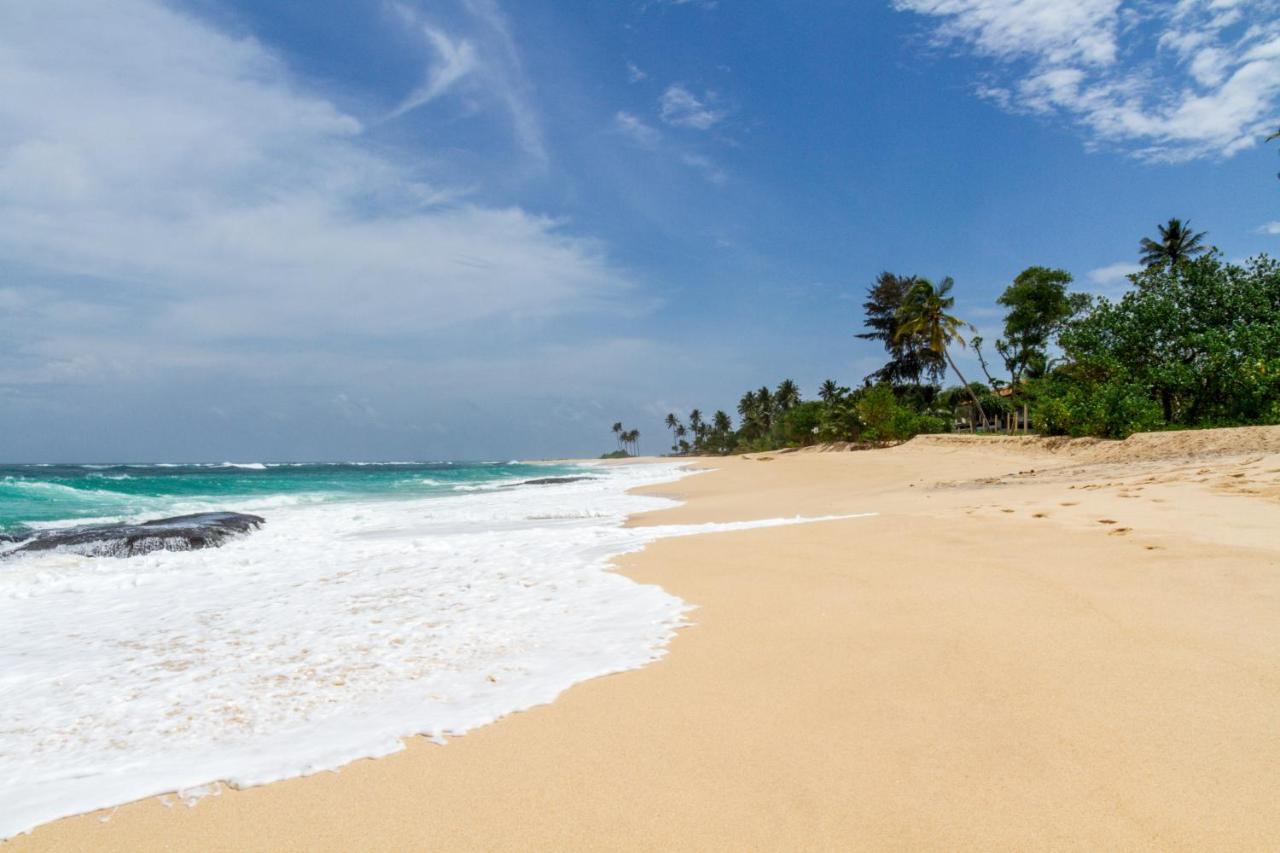 Surf Sea Breeze Otel Mirissa Dış mekan fotoğraf